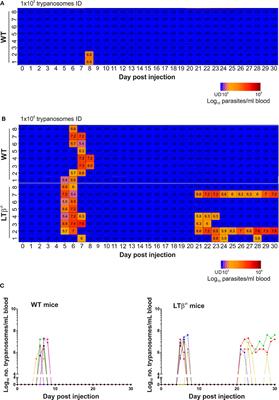 Influence of the Draining Lymph Nodes and Organized Lymphoid Tissue Microarchitecture on Susceptibility to Intradermal Trypanosoma brucei Infection